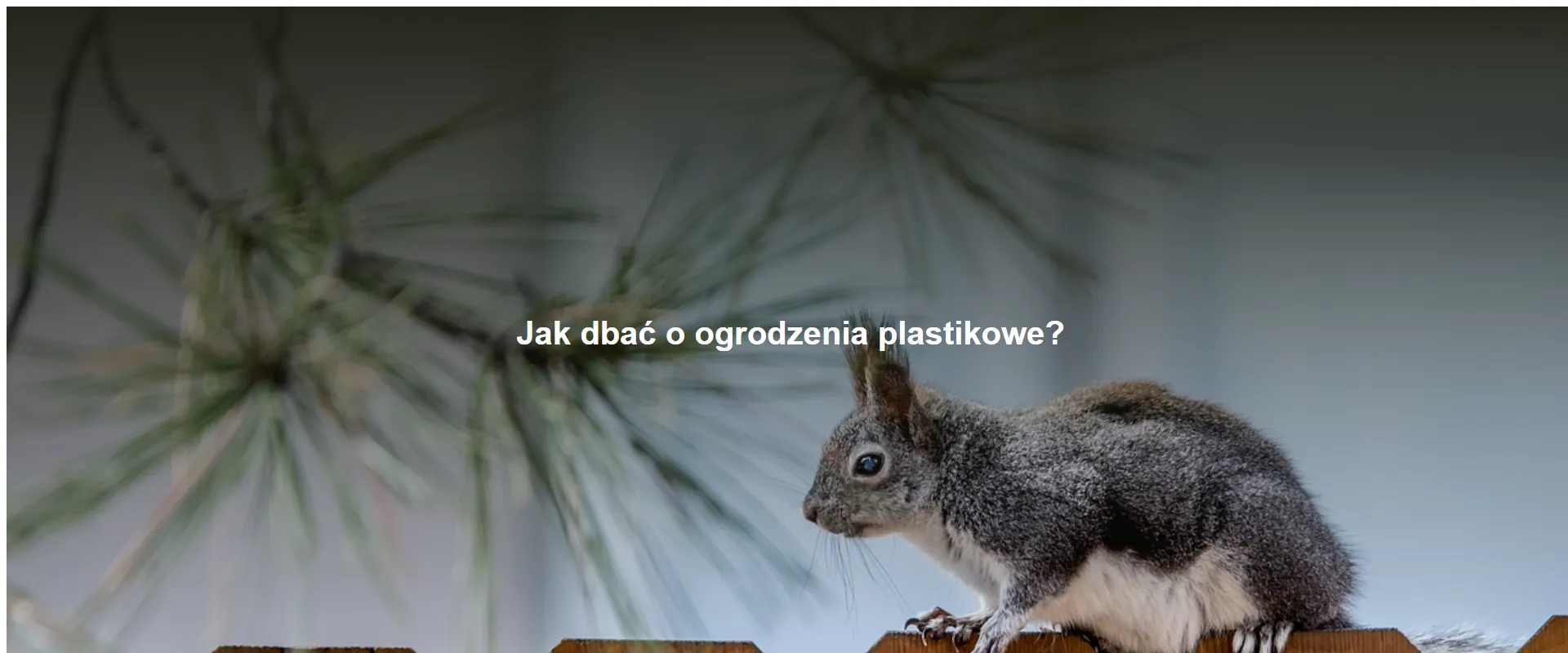 Jak dbać o ogrodzenia plastikowe?