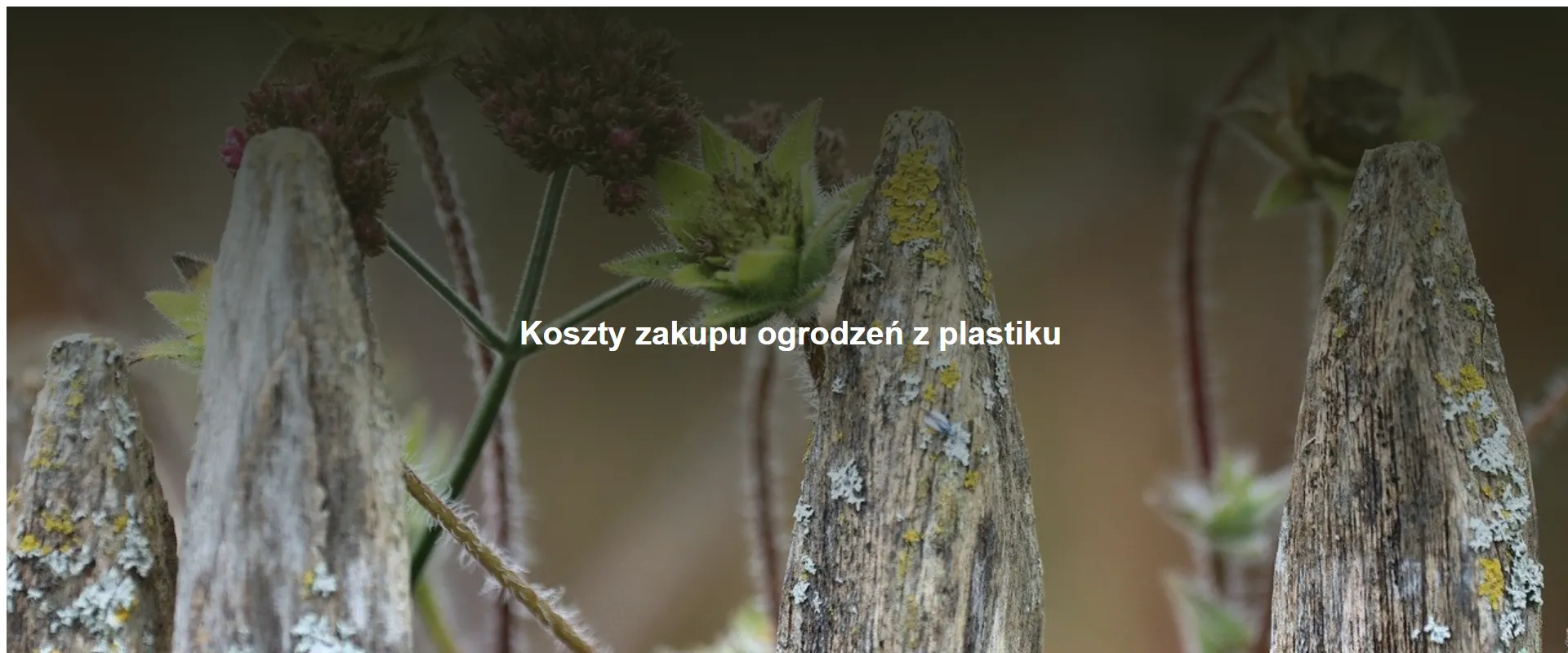 Koszty zakupu ogrodzeń z plastiku