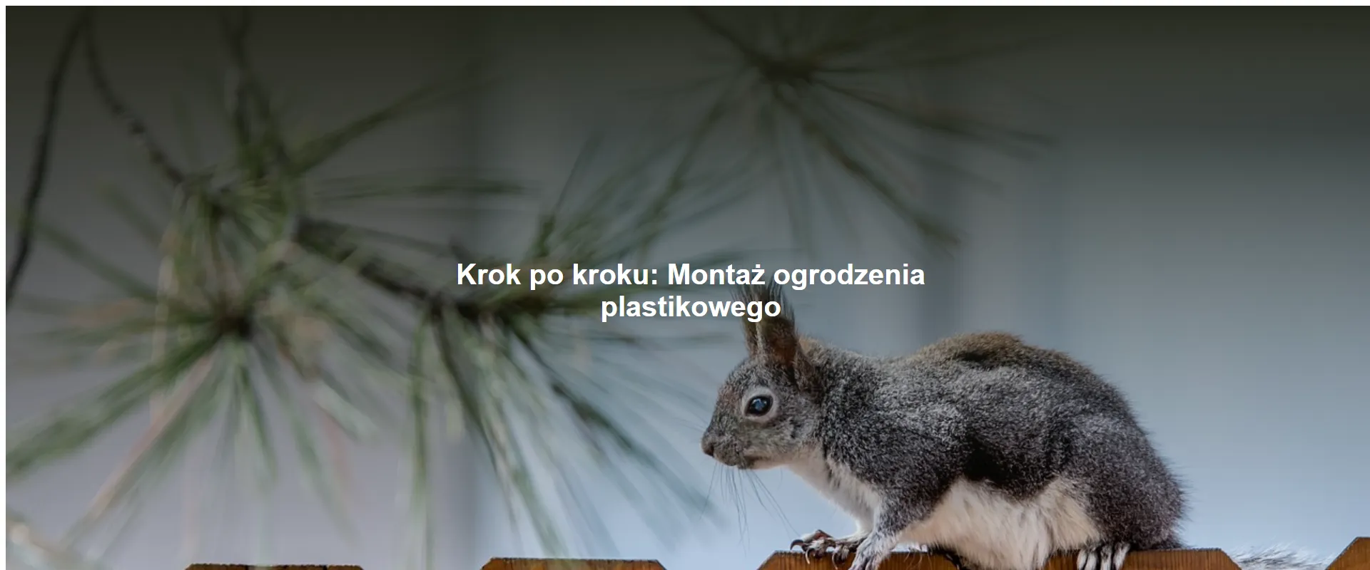 Krok po kroku: Montaż ogrodzenia plastikowego