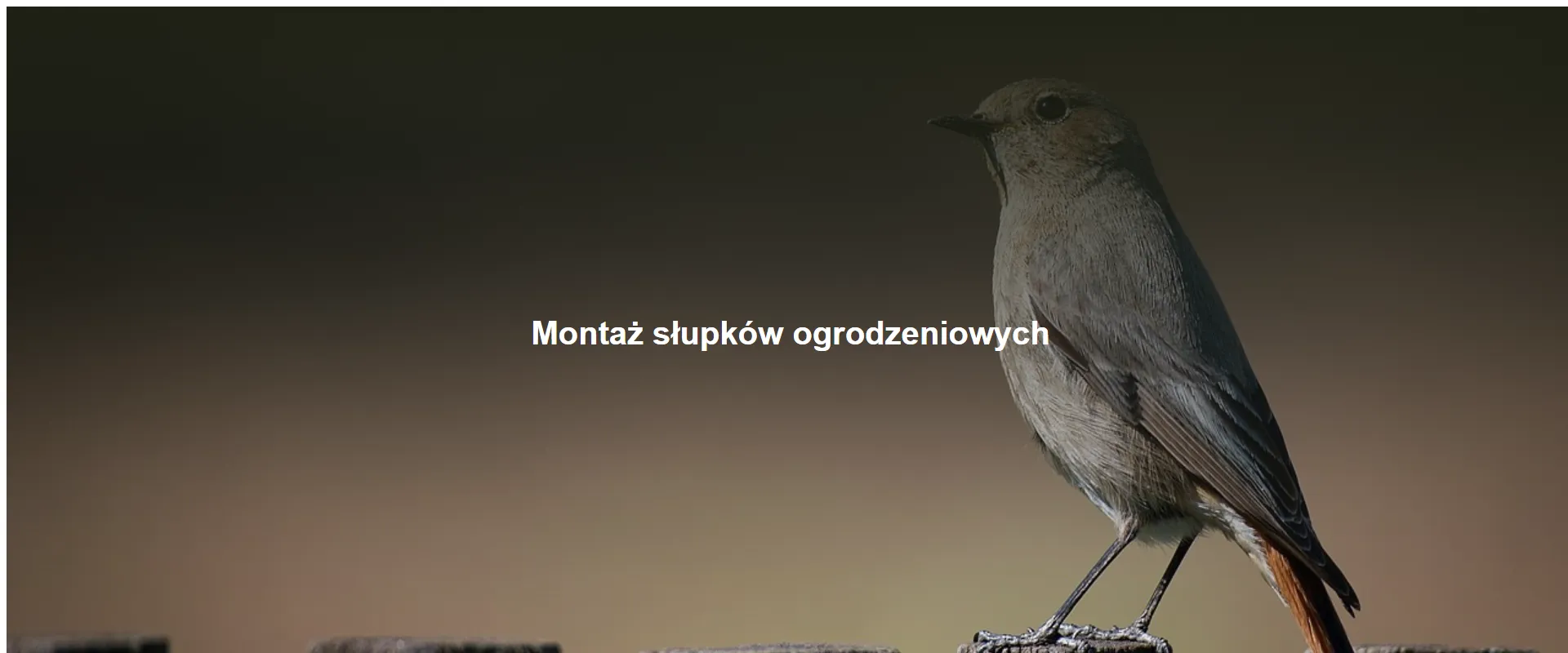 Montaż słupków ogrodzeniowych