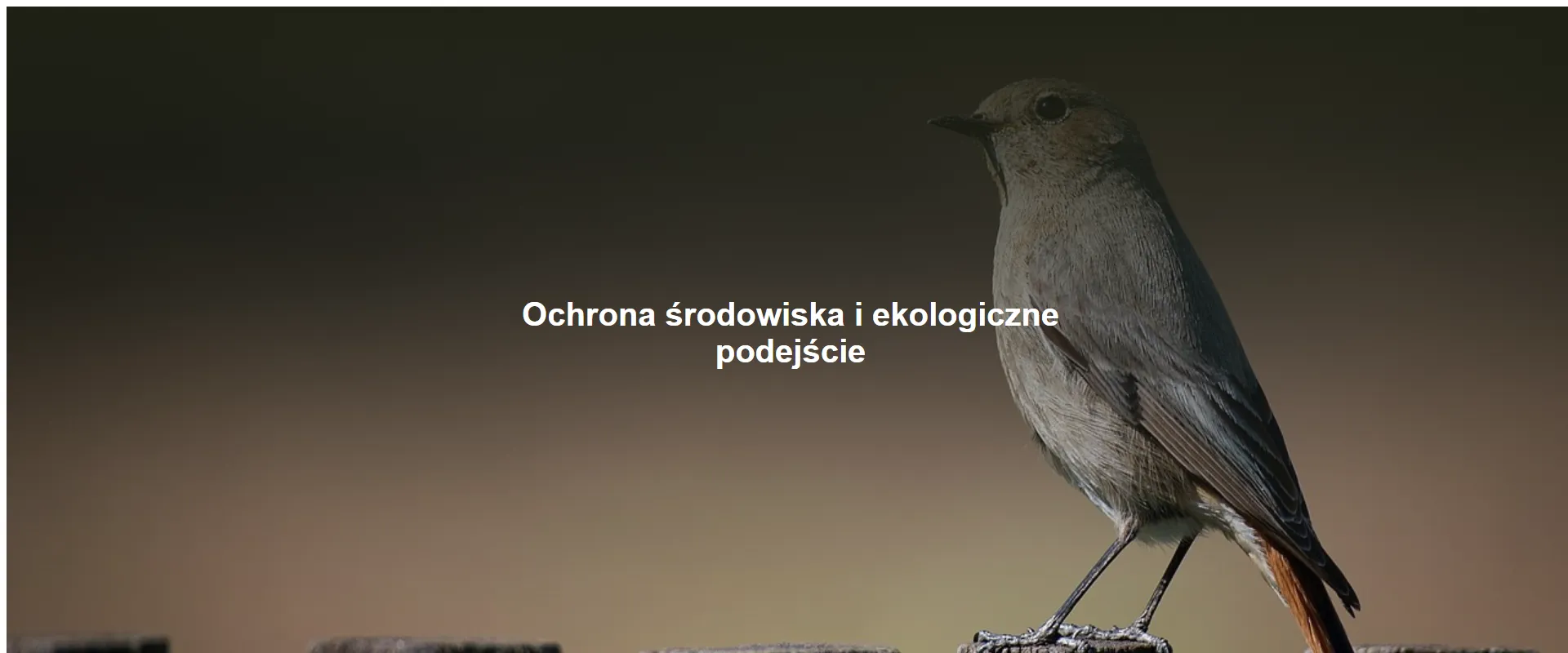 Ochrona środowiska i ekologiczne podejście