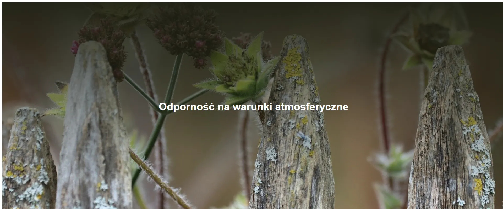 Odporność na warunki atmosferyczne