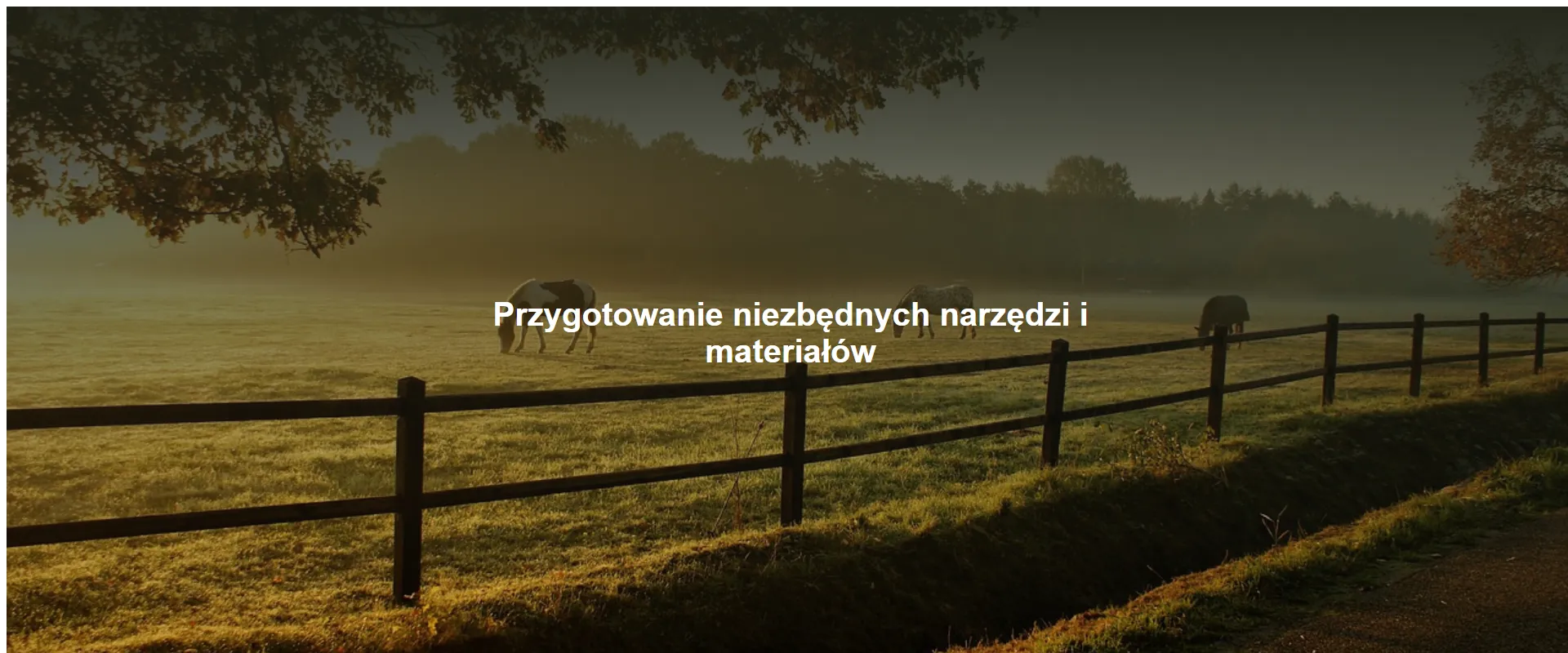 Przygotowanie niezbędnych narzędzi i materiałów