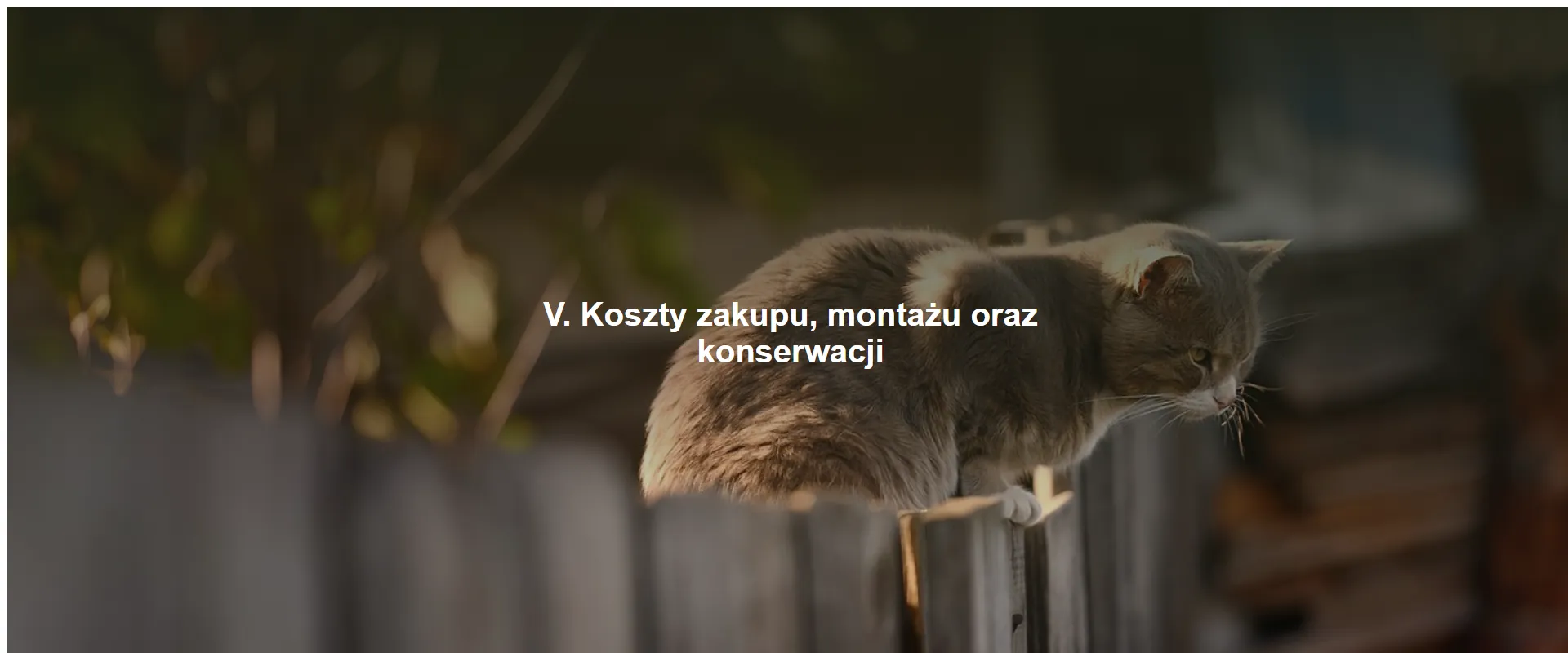 V. Koszty zakupu, montażu oraz konserwacji